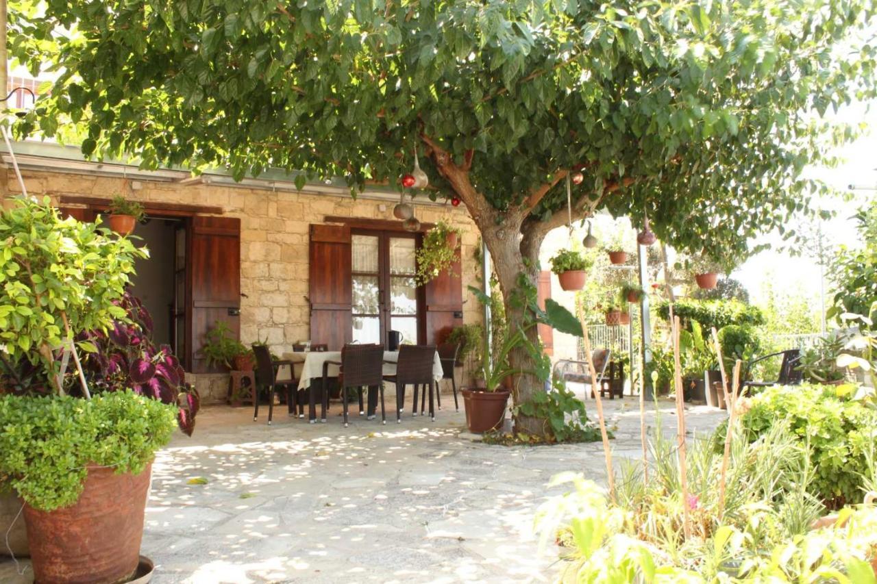 Georgia'S House Bed & Breakfast Fyti Ngoại thất bức ảnh